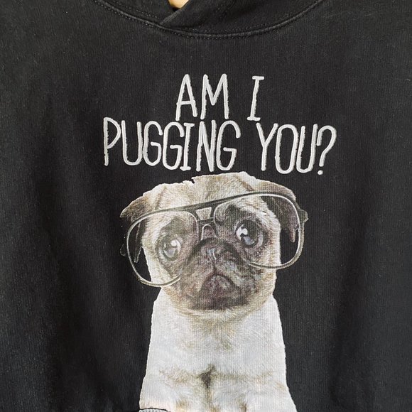 Sweatshirt Hoodie With Pug Dog Graphic Am I Pugging You? - Picture 3 of 15